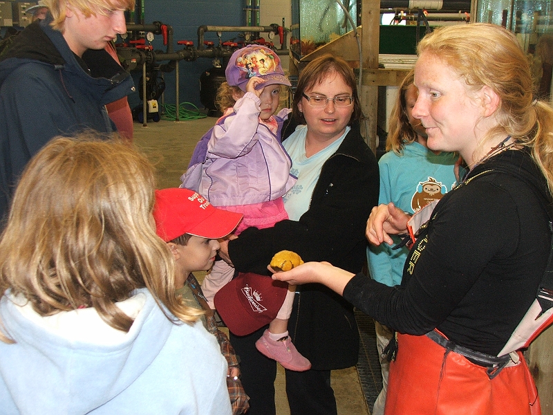 NFLD_drive_to_and-viking_settlement 724.jpg - sponge